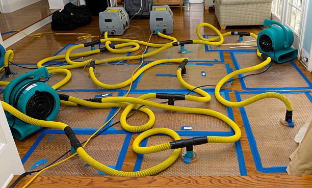 Professional Sewage Cleanup technician working in Hanson, MA